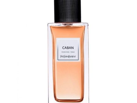 YSL - Caban For Sale