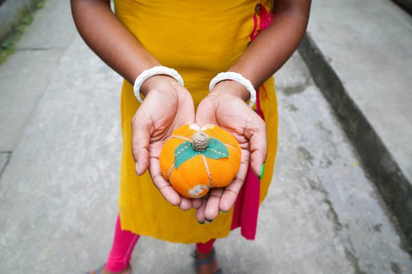 Saree Pumpkin - Small Cheap