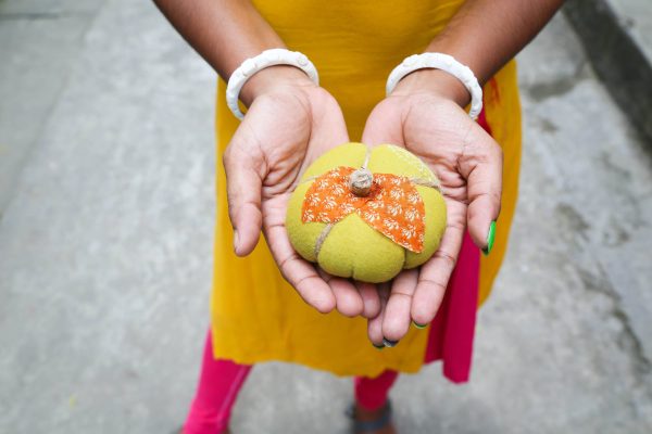 Saree Pumpkin - Small Cheap